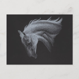 Cartão Postal Coleção de Cavalos Fantasmas