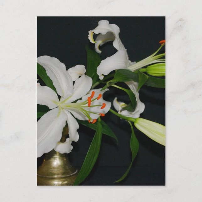 Cartão Postal Coleção de Design e Flores irlandesas (Frente)