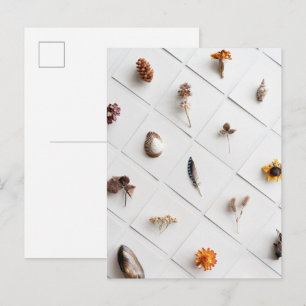 Cartão Postal Coleção de Espécimes Naturais Minimalista