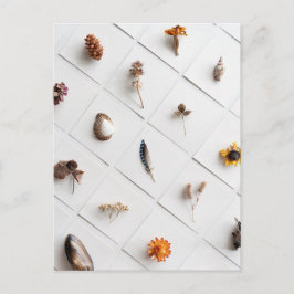 Cartão Postal Coleção de Espécimes Naturais Minimalista