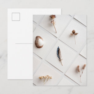 Cartão Postal Coleção de Espécimes Naturais Minimalista