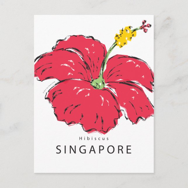 CARTÃO POSTAL COLEÇÃO DE HIBISCUS SINGAPURA (Frente)