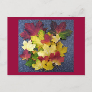 Cartão Postal Coleção de outono