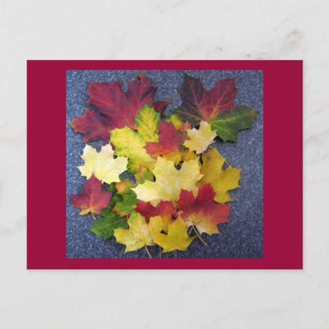Cartão Postal Coleção de outono (Frente)