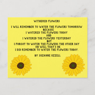 Cartão Postal Coleção de Promoção de Livro