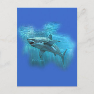 Cartão Postal Coleção de tubarões por FishTs.com