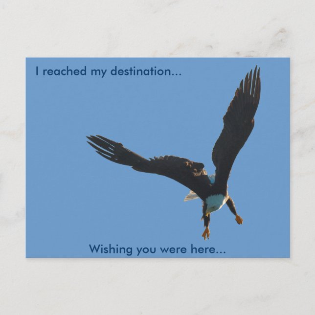 Cartão Postal Coleção de Voo da Águia Americana II (Frente)