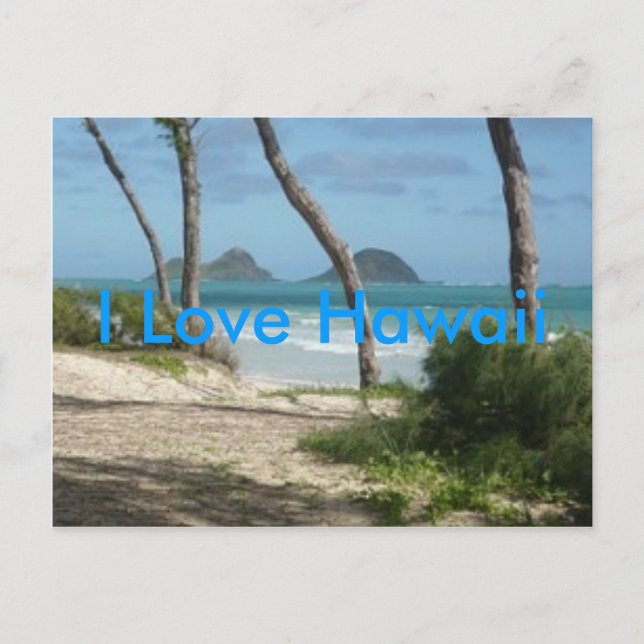 CARTÃO POSTAL COLEÇÃO HAWAII ALOHA (Frente)