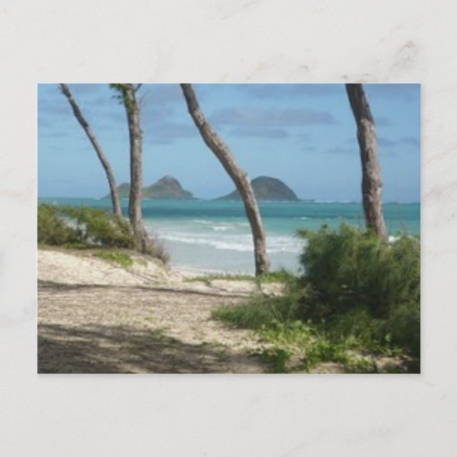 CARTÃO POSTAL COLEÇÃO HAWAII ALOHA (Frente)