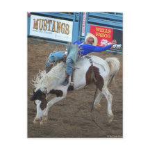 Coleção Rodeo - Corrida Selvagem