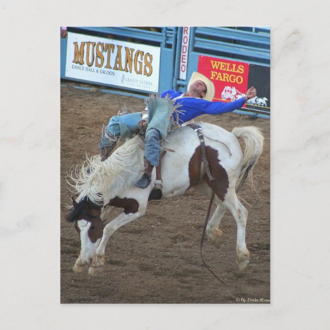 Cartão Postal Coleção Rodeo - Corrida Selvagem (Frente)