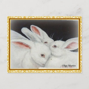 Cartão Postal Coleção White Bunny Trio