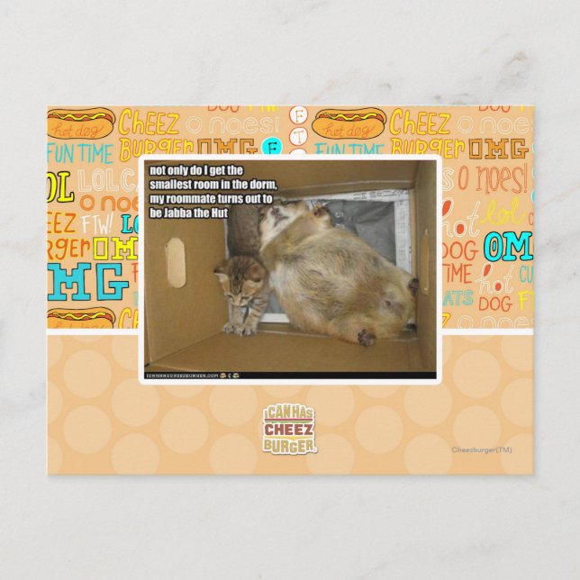 Cartão Postal Colega de quarto de gordura (Frente)