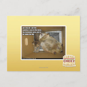 Cartão Postal Colega de quarto de gordura