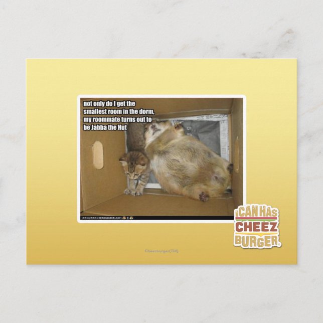 Cartão Postal Colega de quarto de gordura (Frente)