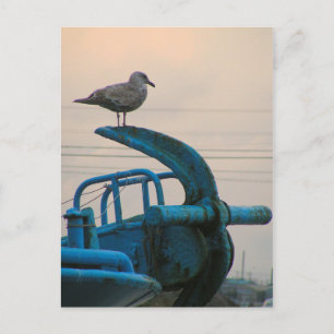 Cartão Postal Coletes De Caivota Em Âncora Do Navio Choshi