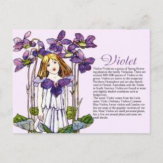 Cartão Postal Coletor de Botânica Vintage Violet Girl Informaçõe