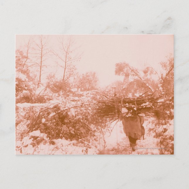 Cartão Postal Coletor de Madeira (Frente)