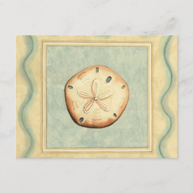 Cartão Postal Coletor de Shell (Frente)