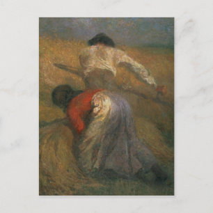 Cartão Postal Colheita