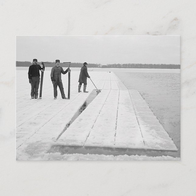 Cartão Postal Colheita de Blocos de Gelo, 1906 (Frente)