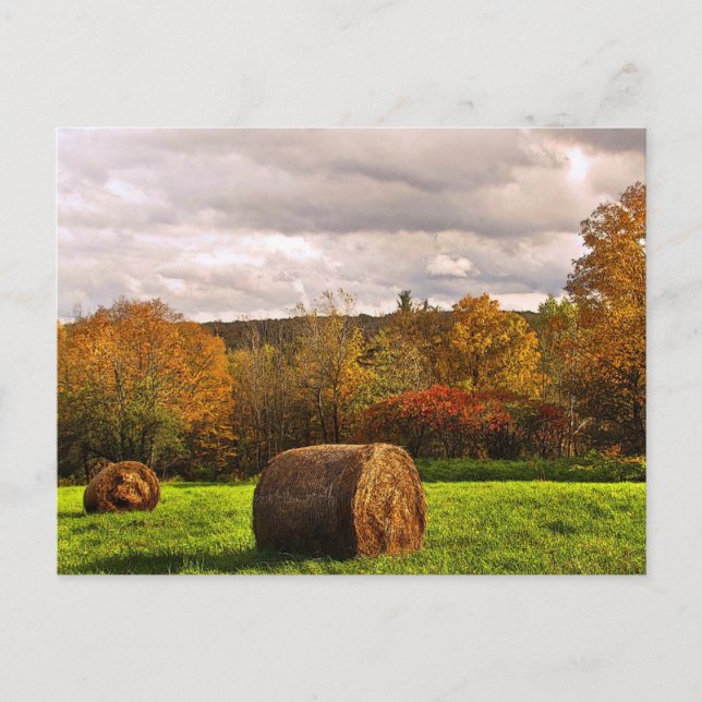 Cartão Postal Colheita de outono (Frente)