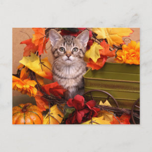 Cartão Postal Colheita de outono