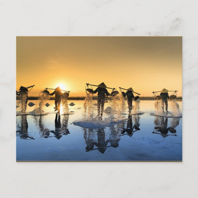 Cartão Postal Colheita de sal no Vietname (Frente)
