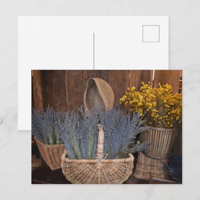 Cartão Postal Colheita Rústica de Lavanda (Frente/Verso)