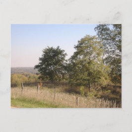 Cartão Postal Colina Cercada 2004 Foto