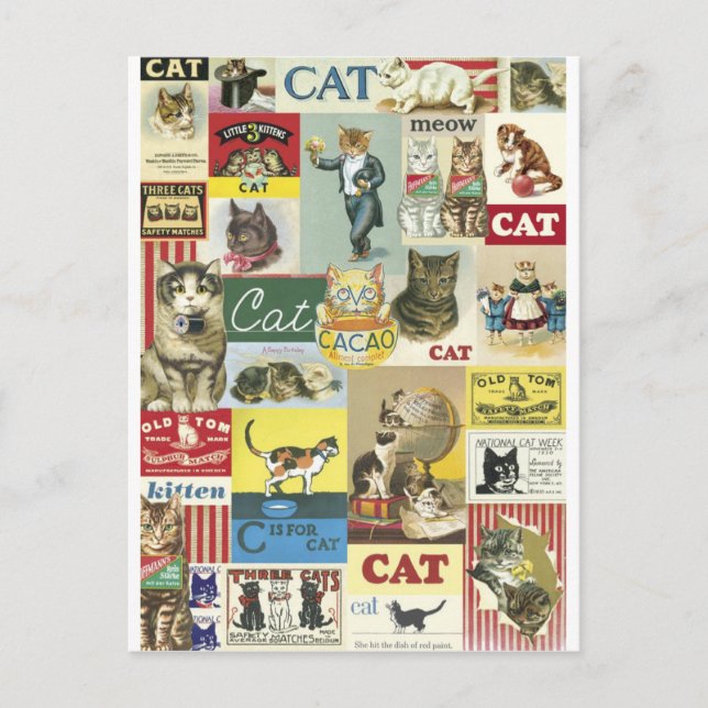 Cartão Postal Collage chats vintage (Frente)