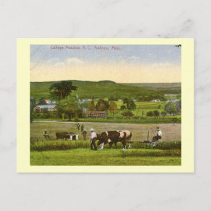 Cartão Postal College Meadow, Amherst Massachusetts 1912 Vintage