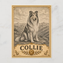 Collie, Cachorro Antigo Patrimônio