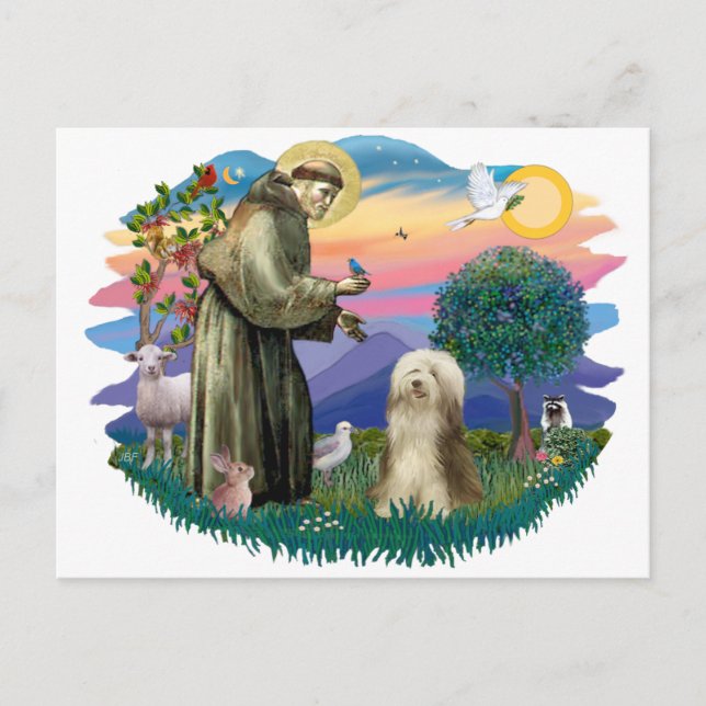 Cartão Postal Collie (creme castanho) (Frente)
