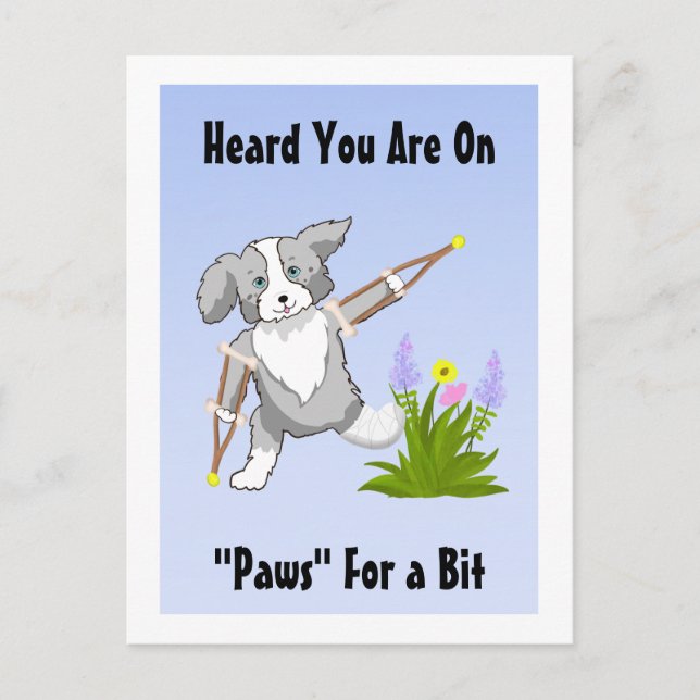 Cartão Postal Collie de recuperação rápida em cruzeiros (Frente)