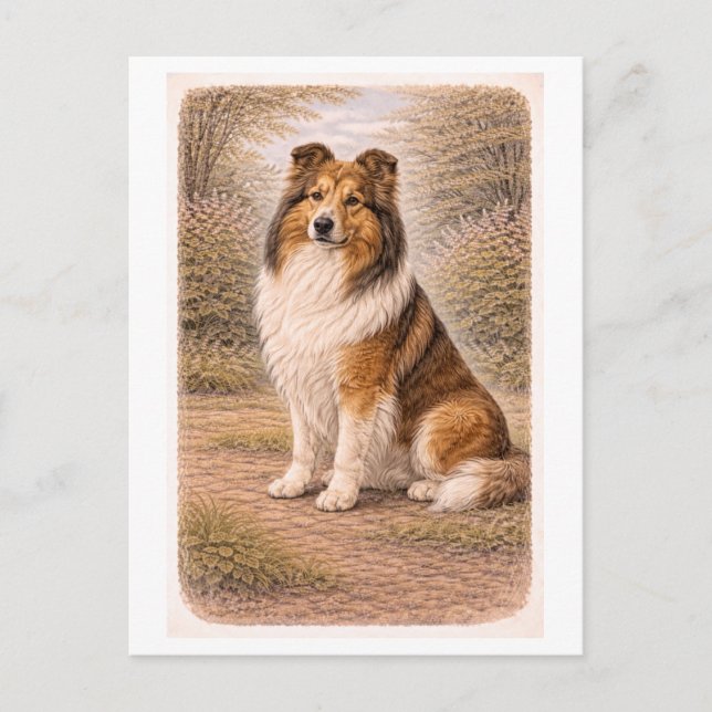 Cartão Postal Collie Estilo Vintage (Frente)