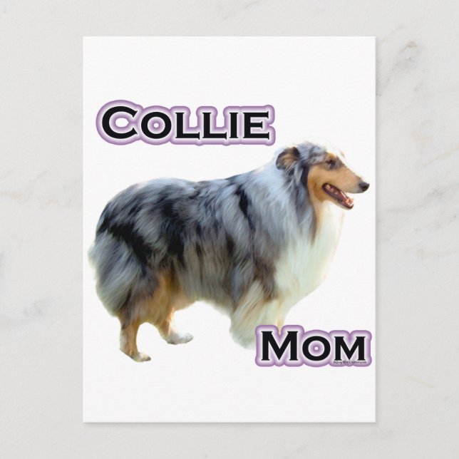 Cartão Postal Collie Mãe 4 (Frente)