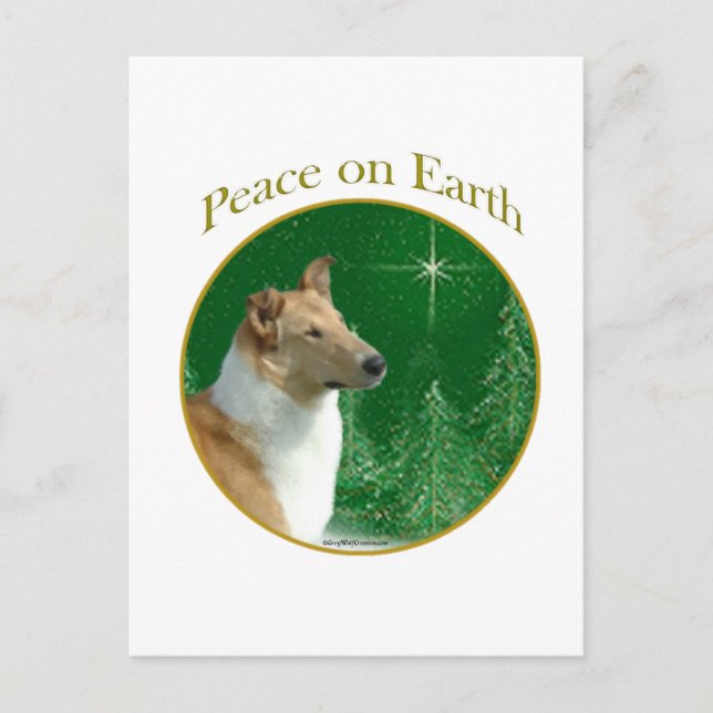 Cartão Postal Collie Peace na Terra (Frente)