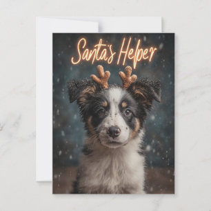 Cartão Postal Collie Puppy Adorável como Auxiliar de Papais noei