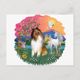 Cartão Postal Collie (Sable and White)