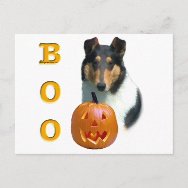 Cartão Postal Collie (suave) Boo (Frente)
