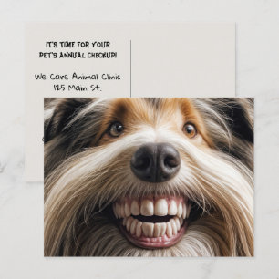 Cartão Postal Collie Toothy Smile