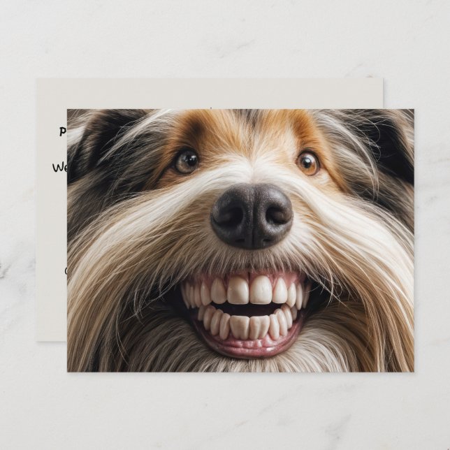 Cartão Postal Collie Toothy Smile (Frente/Verso)