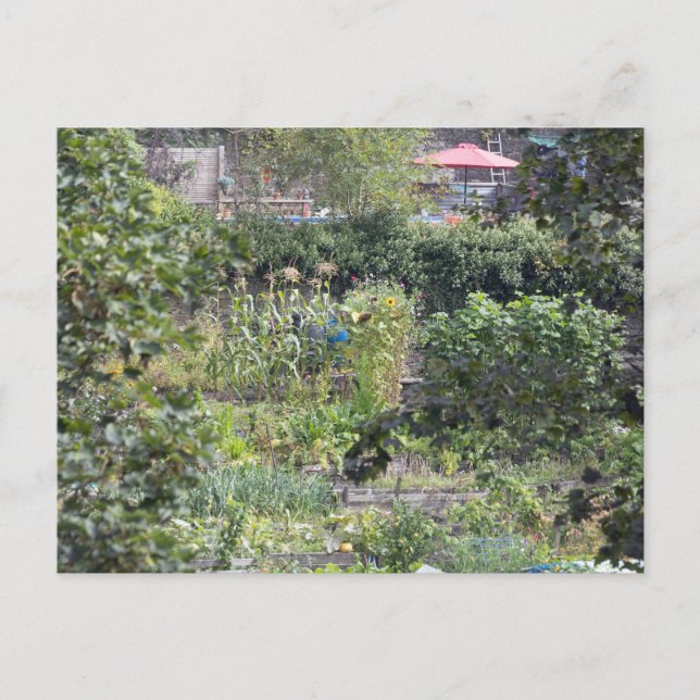 Cartão Postal Colocações na ponte Hebden (Frente)