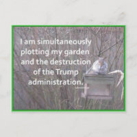 Colocando um jardim contra o trunfo