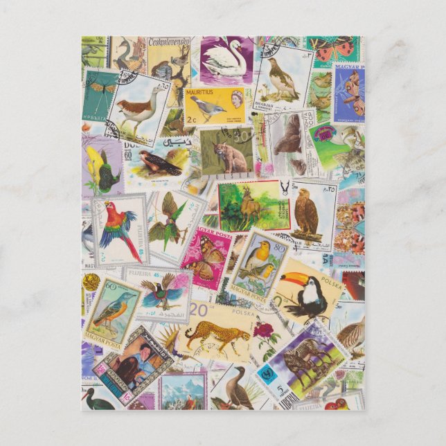 Cartão Postal Colocar Carimbo Aqui (Frente)