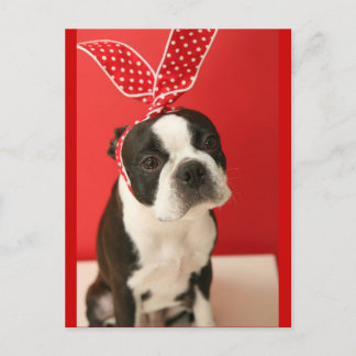 Cartão Postal Cologalita Usamimi Postcards