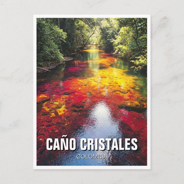 Cartão Postal Colombia Cano Cristales Viagem (Frente)