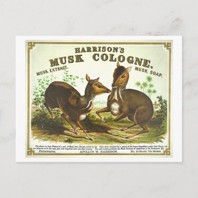 Cartão Postal Colônia Musk de Vintage Advertisement Harrison (Frente)