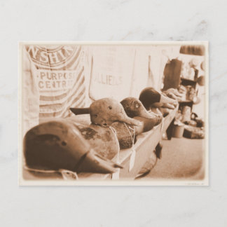 Cartão Postal Coloque seus patos em uma linha - Cartão-postal